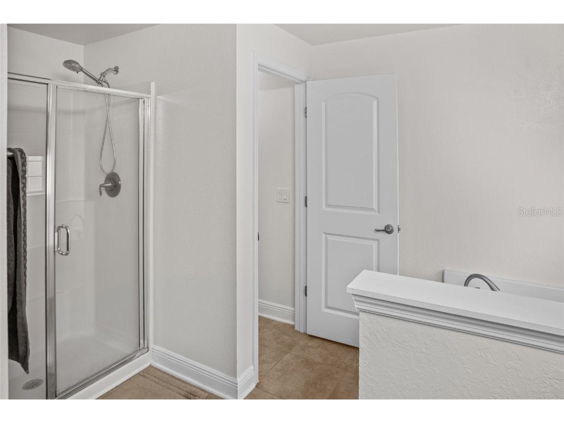 9645 Jaybird Lane Land O Lakes FL 34638 TB8442356 image18