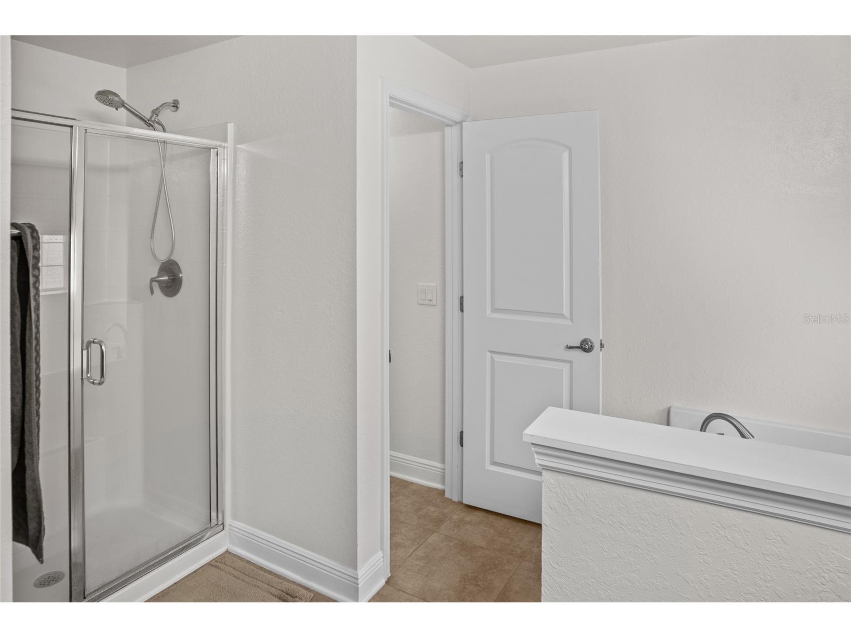 9645 Jaybird Lane Land O Lakes FL 34638 TB8514395 image16