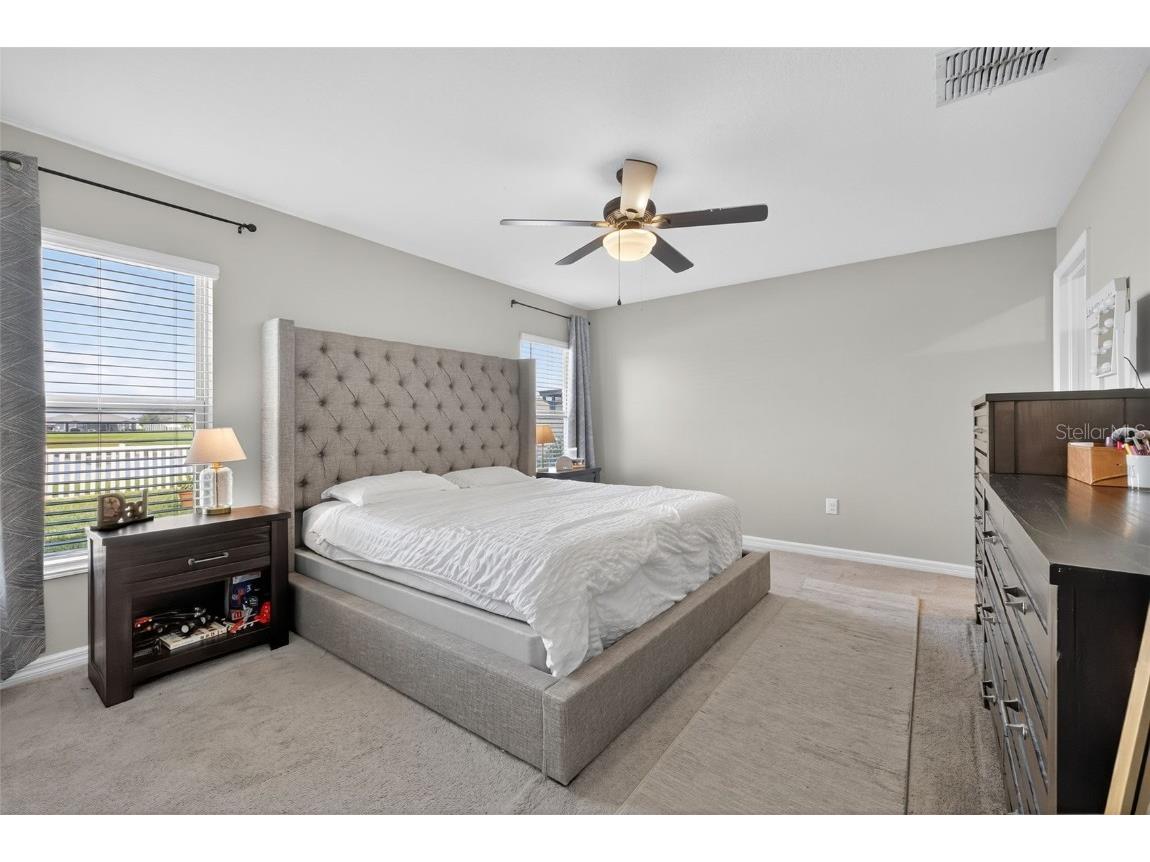 9645 Lemon Drop Loop Ruskin FL 33573 TB8455736 image28