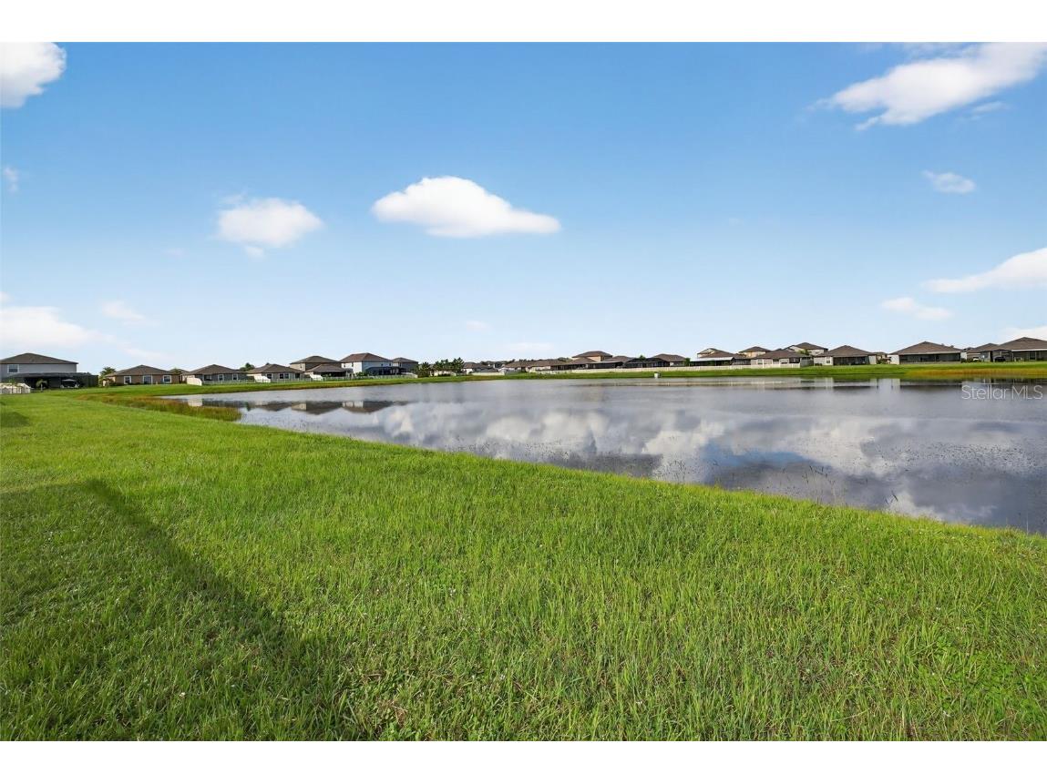 9645 Lemon Drop Loop Ruskin FL 33573 TB8455736 image35