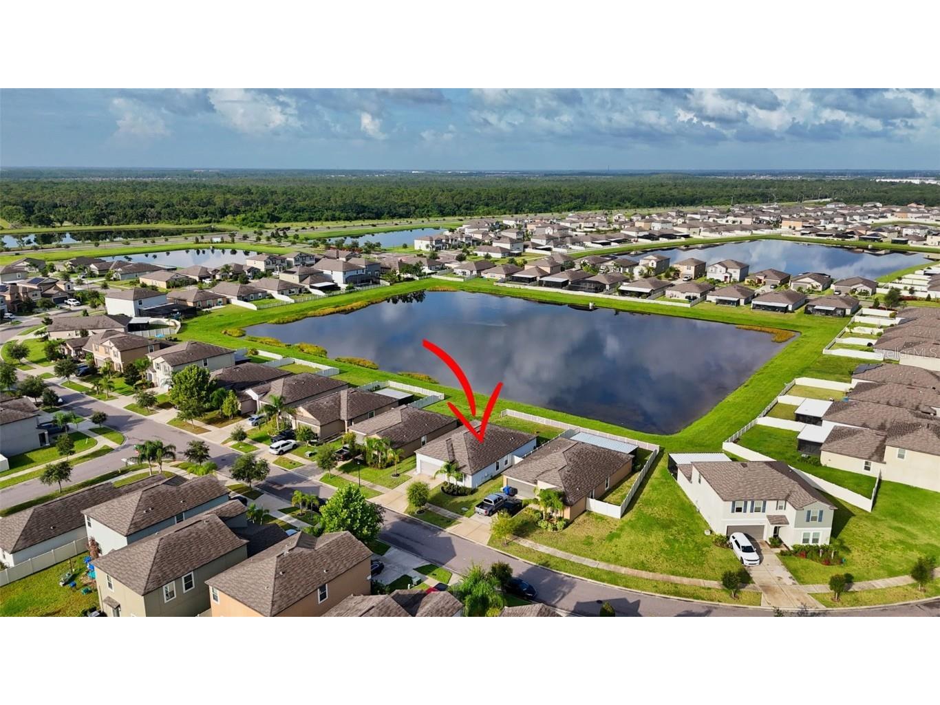 9645 Lemon Drop Loop Ruskin FL 33573 TB8455736 image45