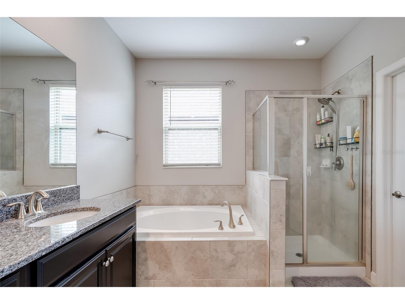 9646 Ivory Drive Ruskin FL 33573 A4696371 image22
