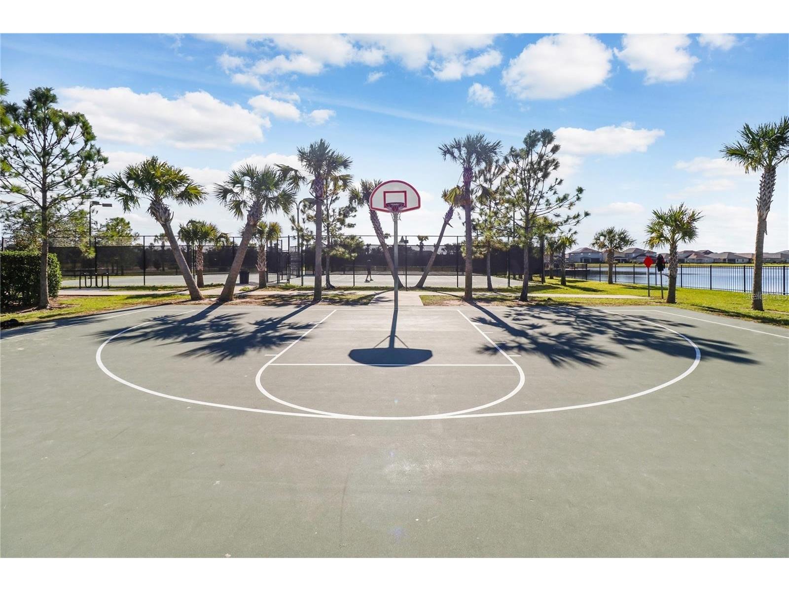 9646 Ivory Drive Ruskin FL 33573 A4696371 image45