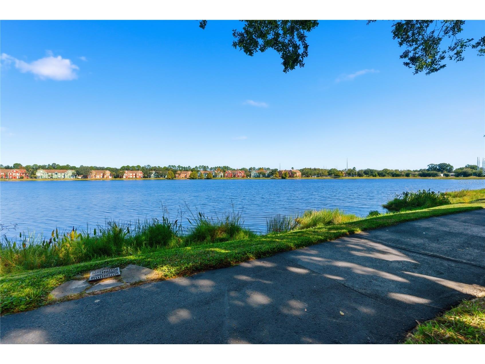 9646 Lake Chase Island Way #9646 Tampa FL 33626 - LAKE CHASE TB8445233 image38