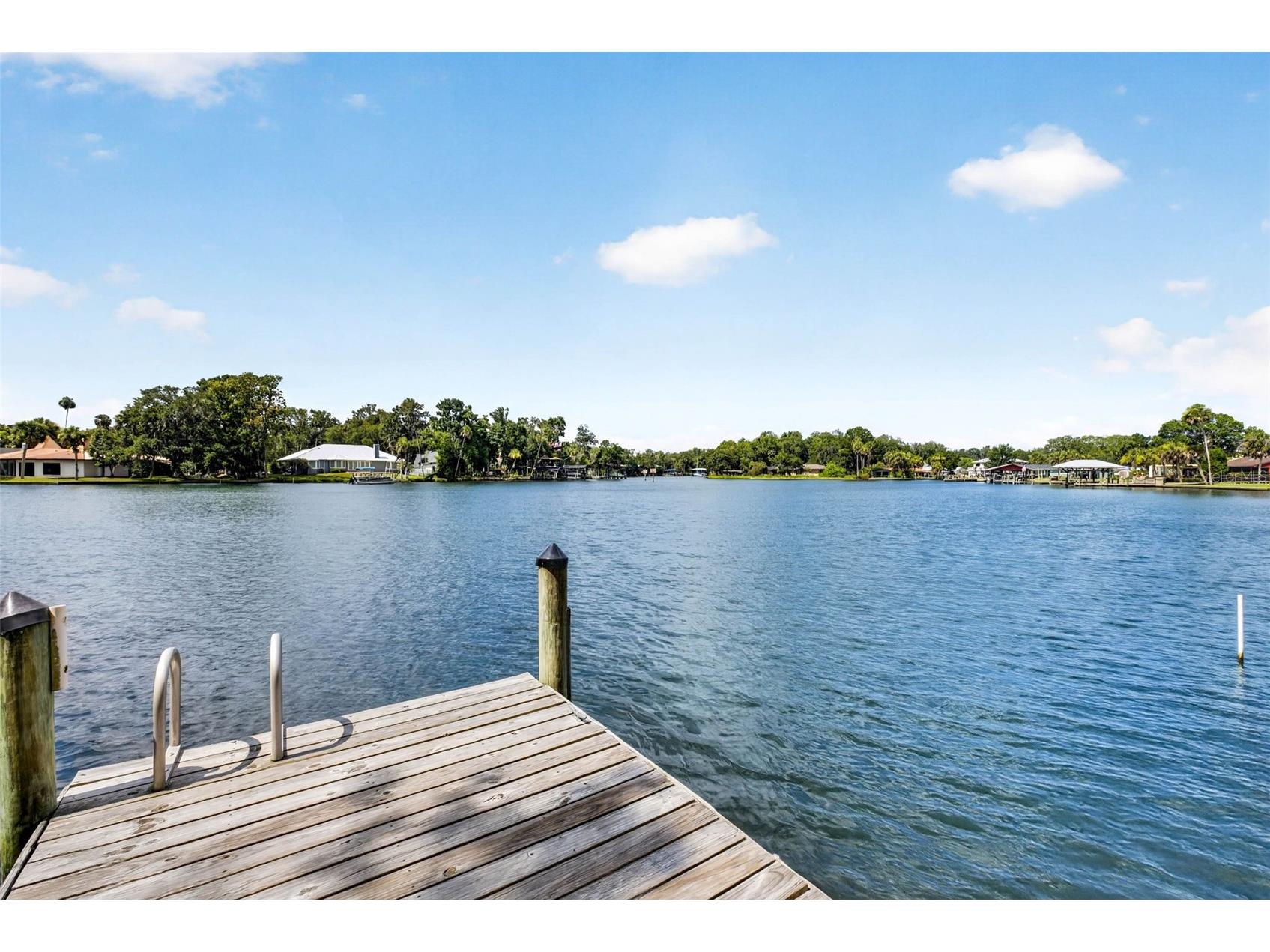 9647 W Fern Creek Terrace Homosassa FL 34448 OM727353 image10
