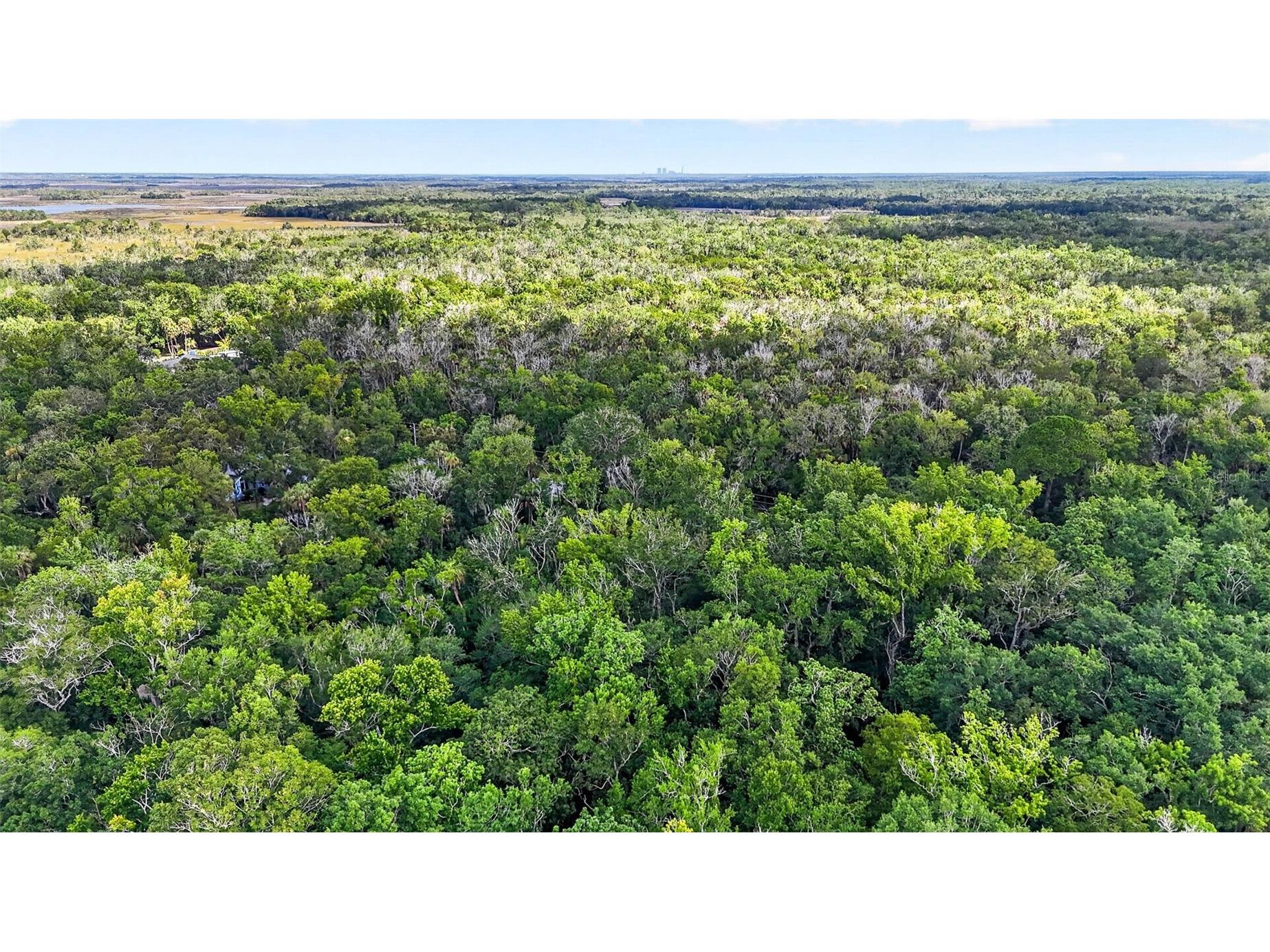 9647 W Fern Creek Terrace Homosassa FL 34448 OM727353 image11