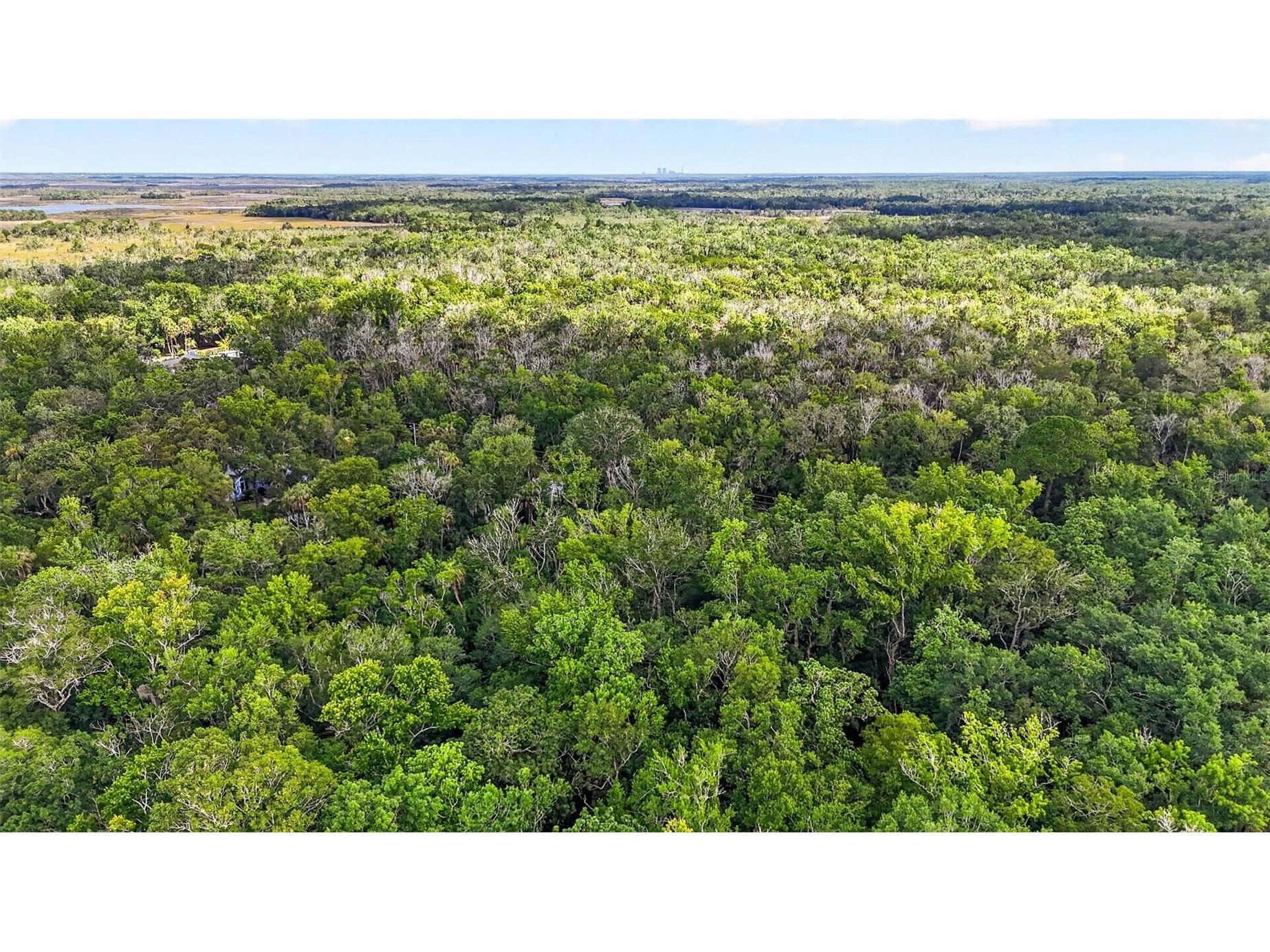 9647 W Fern Creek Terrace Homosassa FL 34448 OM727353 image14