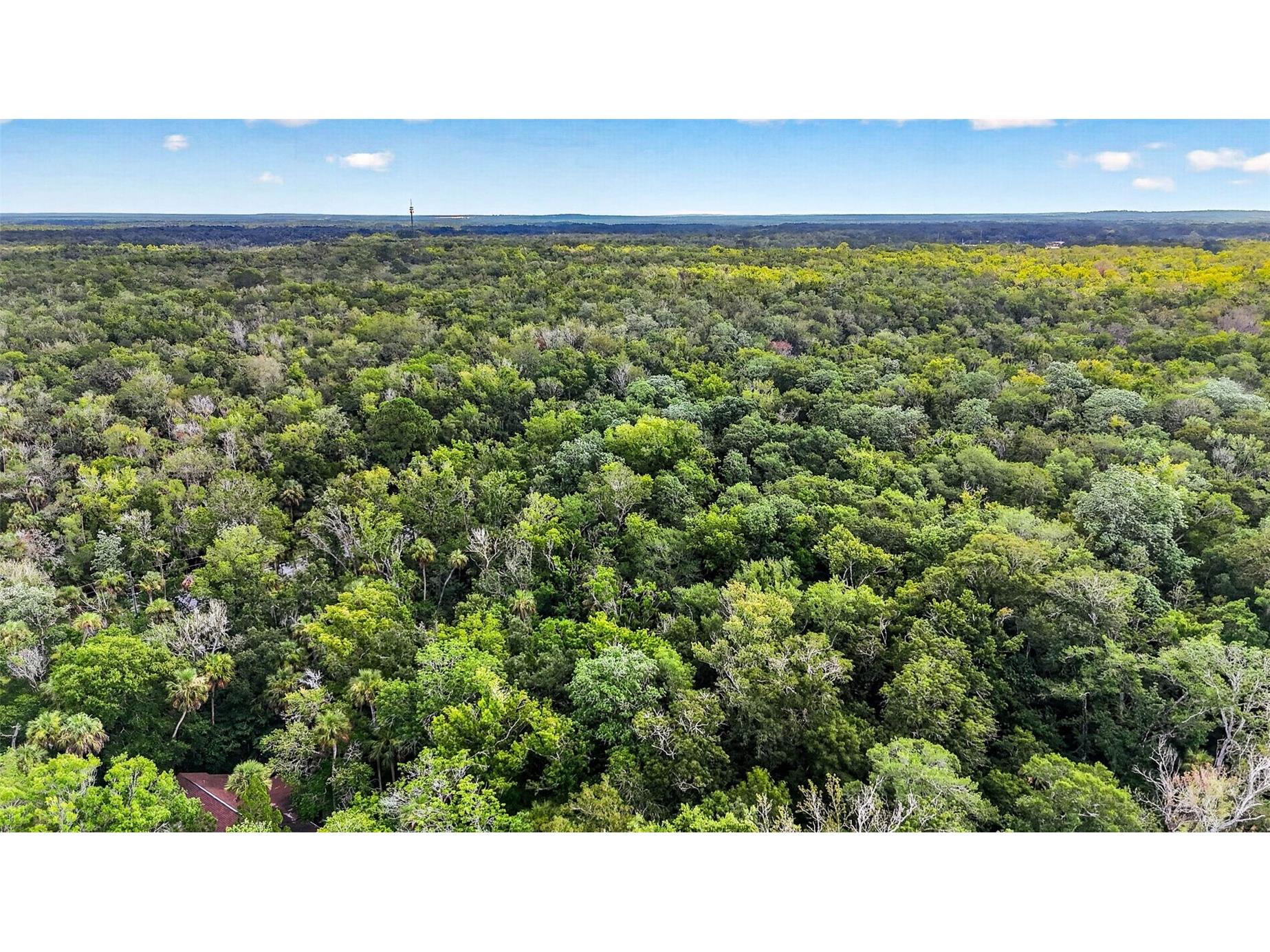 9647 W Fern Creek Terrace Homosassa FL 34448 OM727353 image16