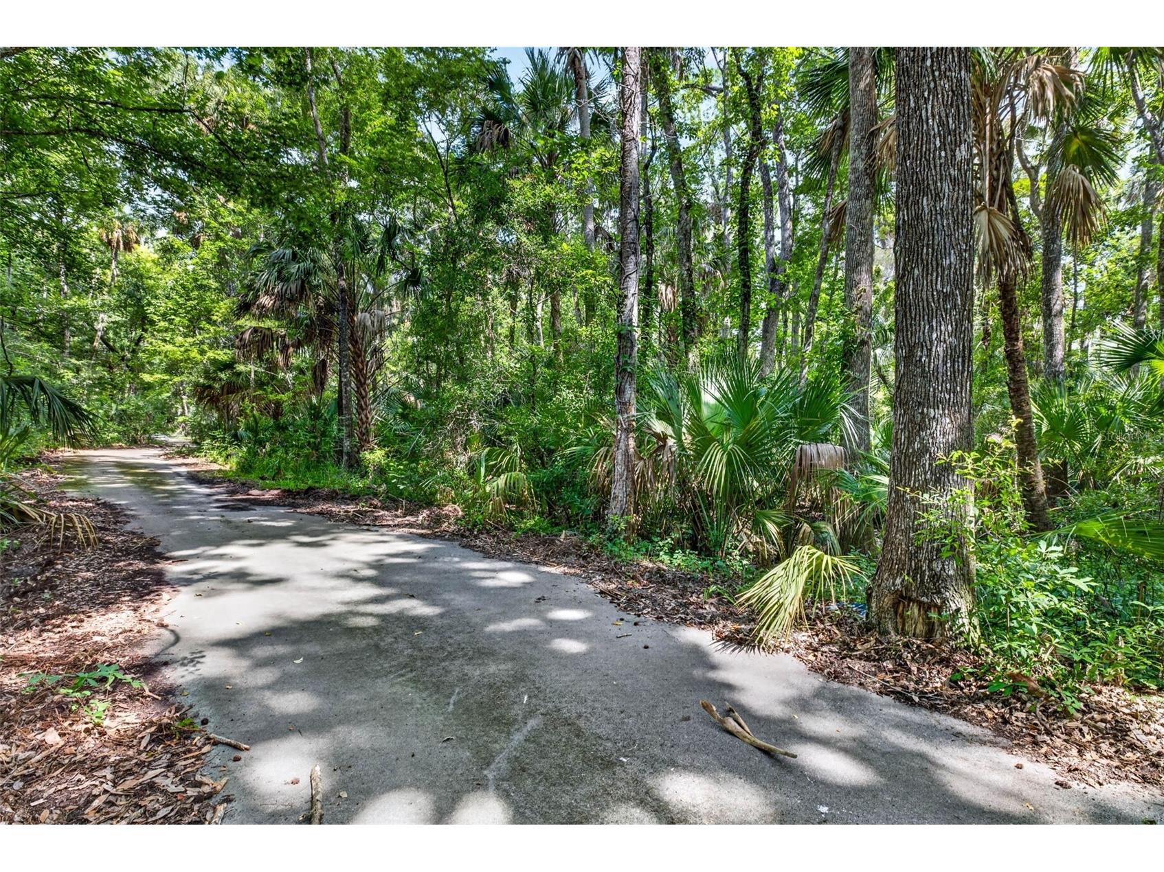 9647 W Fern Creek Terrace Homosassa FL 34448 OM727353 image2