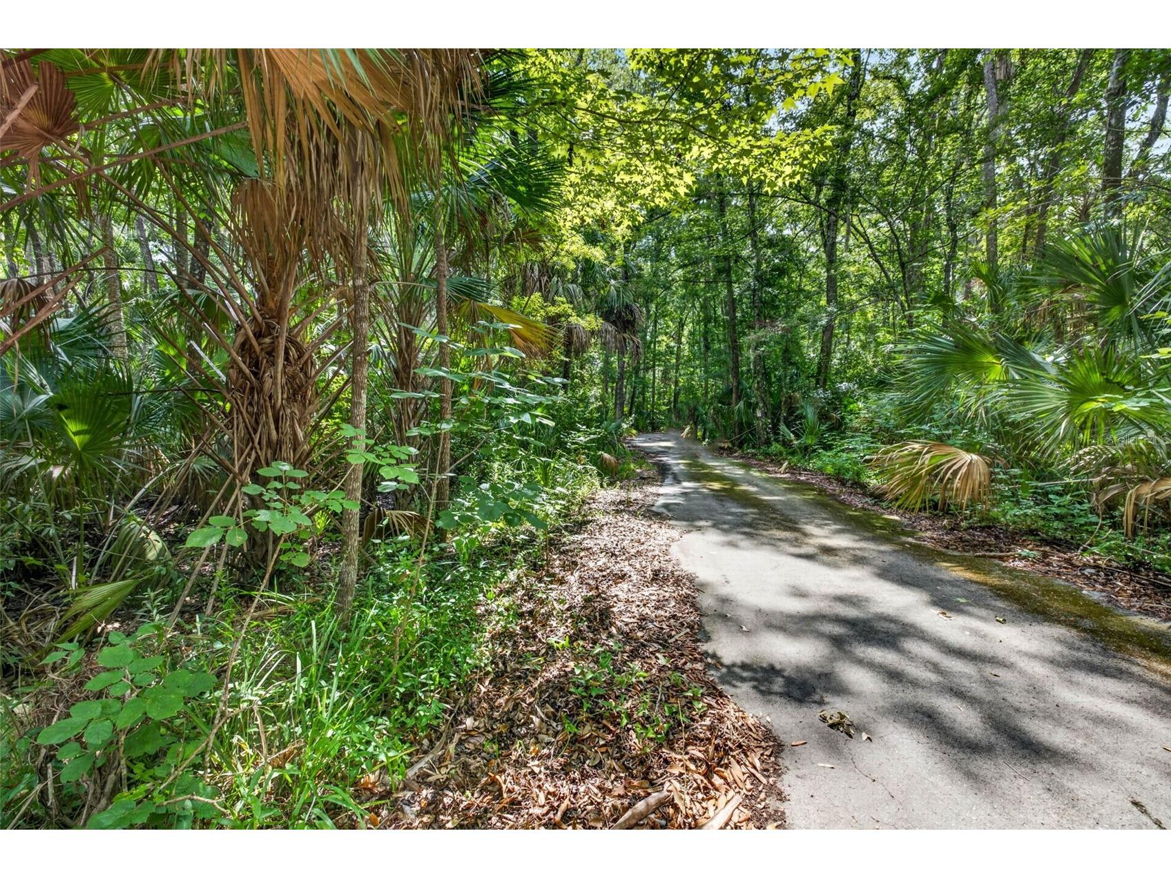 9647 W Fern Creek Terrace Homosassa FL 34448 OM727353 image3