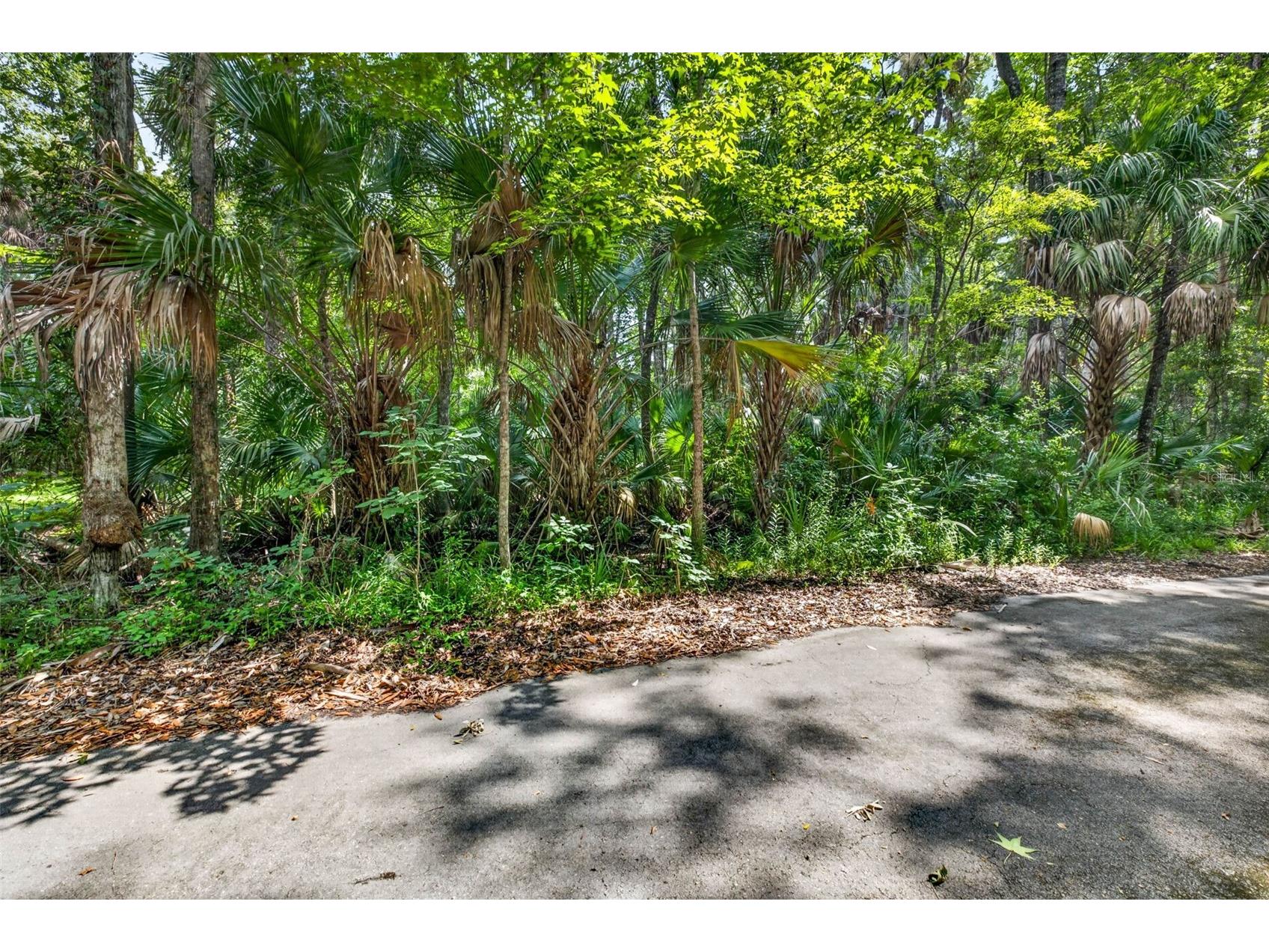9647 W Fern Creek Terrace Homosassa FL 34448 OM727353 image4
