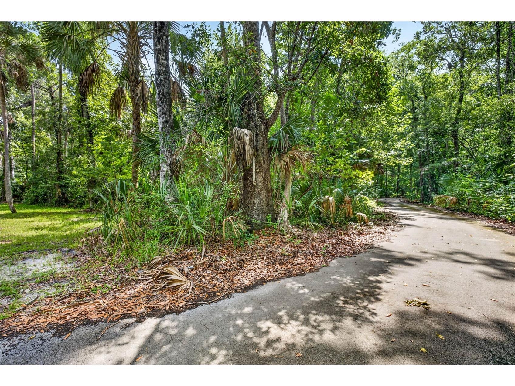 9647 W Fern Creek Terrace Homosassa FL 34448 OM727353 image5