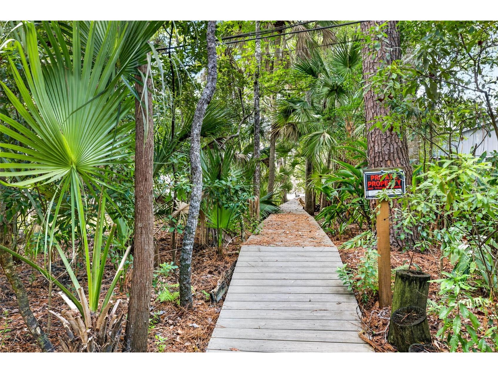 9647 W Fern Creek Terrace Homosassa FL 34448 OM727353 image6