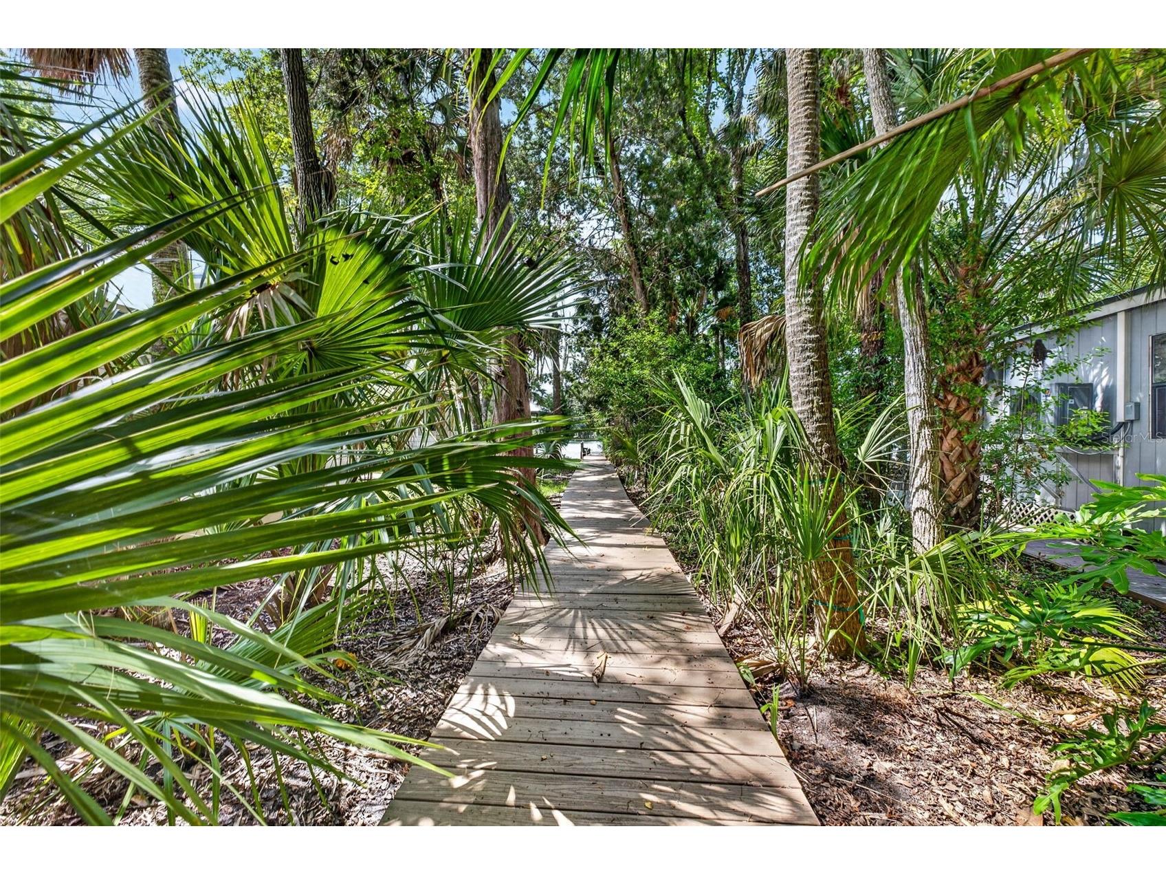 9647 W Fern Creek Terrace Homosassa FL 34448 OM727353 image7