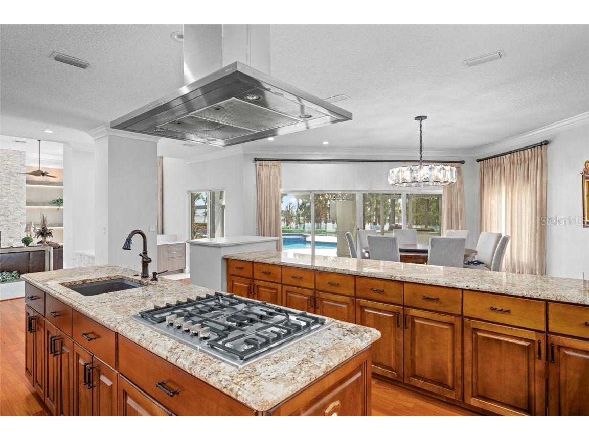 9648 Mccormick Place Windermere FL 34786 O6346918 image18