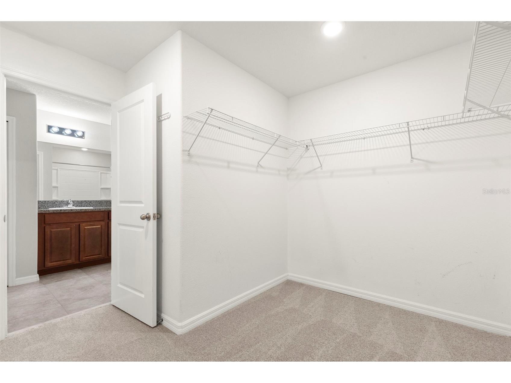 9648 Sage Creek Drive Ruskin FL 33573 TB8523194 image38