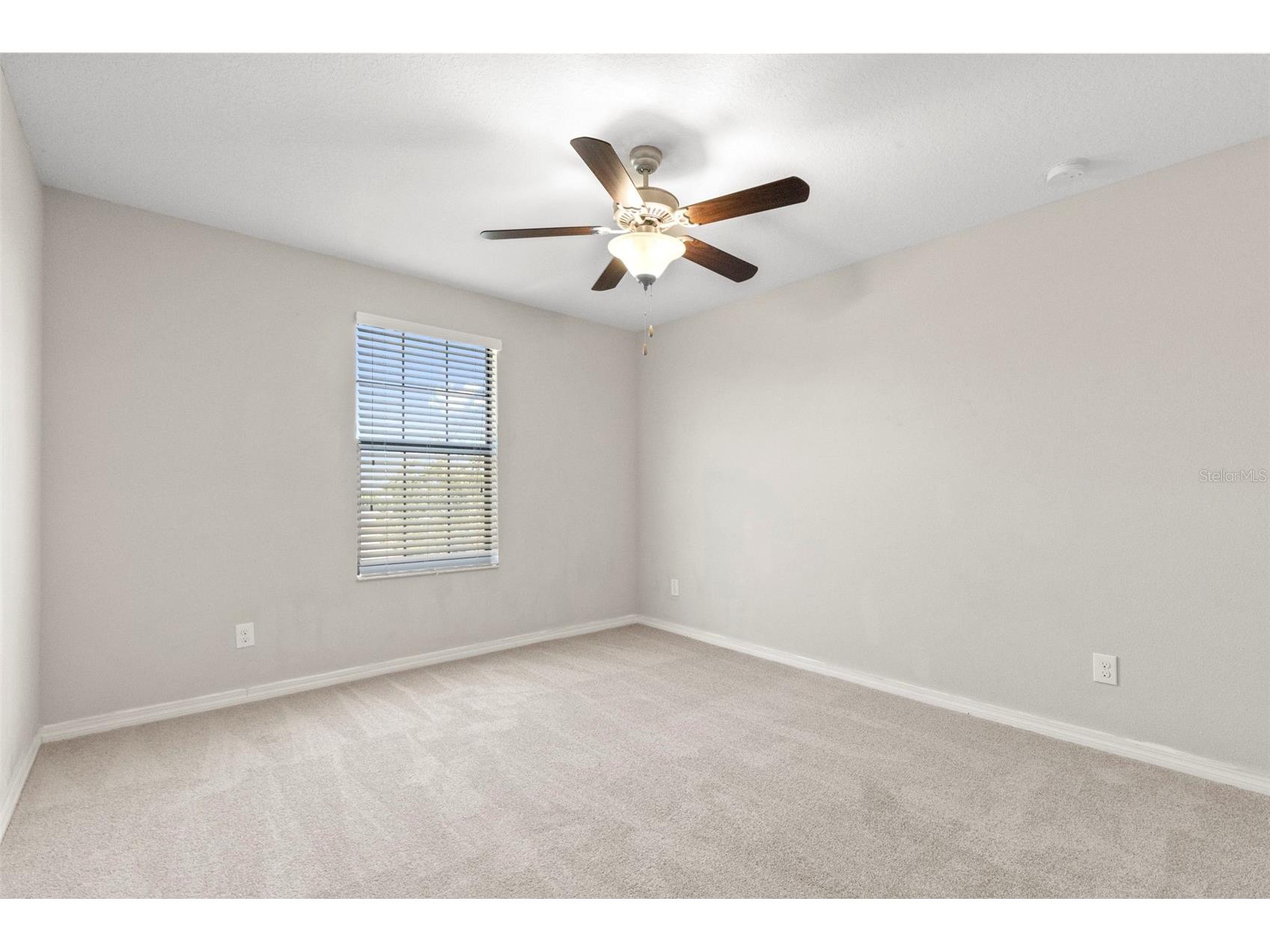 9648 Sage Creek Drive Ruskin FL 33573 TB8523194 image50