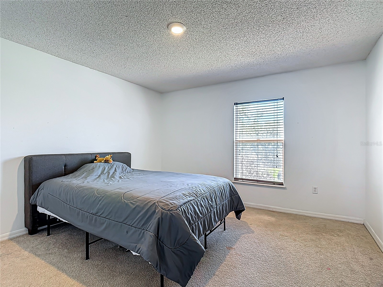 965 Alsace Drive Kissimmee FL 34759 S5148030 image27