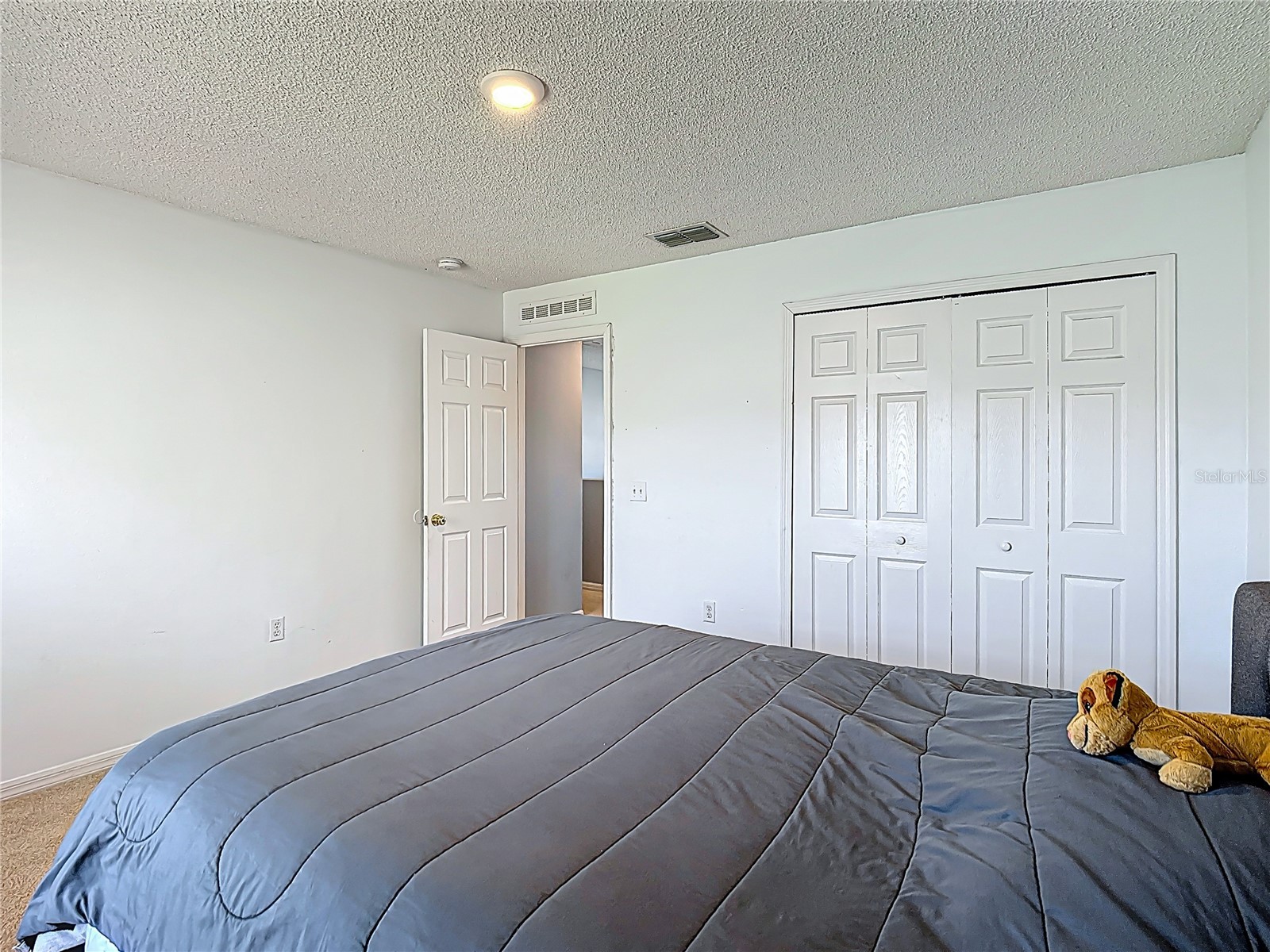 965 Alsace Drive Kissimmee FL 34759 S5148030 image29