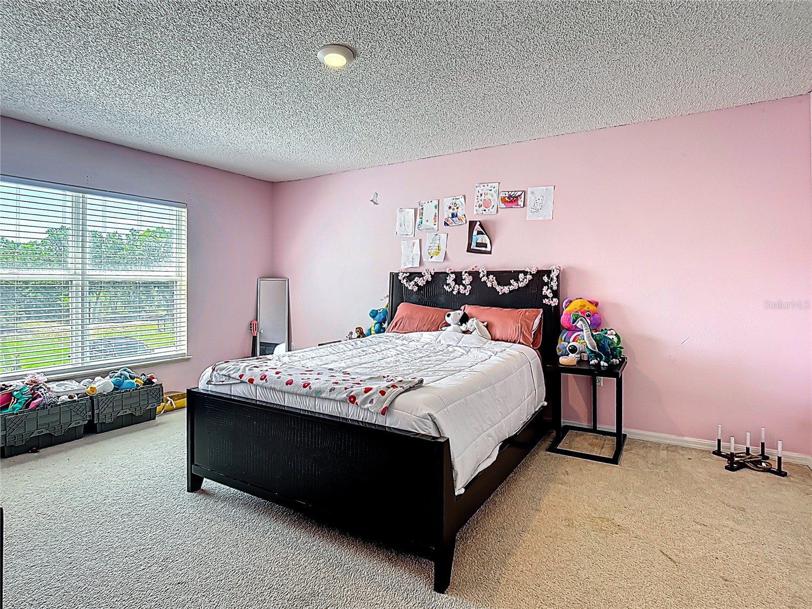 965 Alsace Drive Kissimmee FL 34759 S5148030 image47
