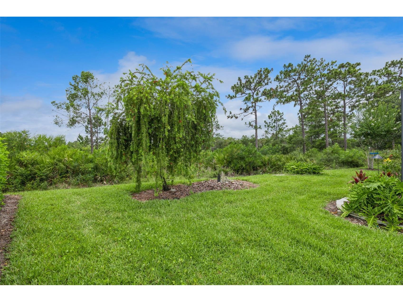 965 Avery Meadows Way Deland FL 32724 O6420163 image35