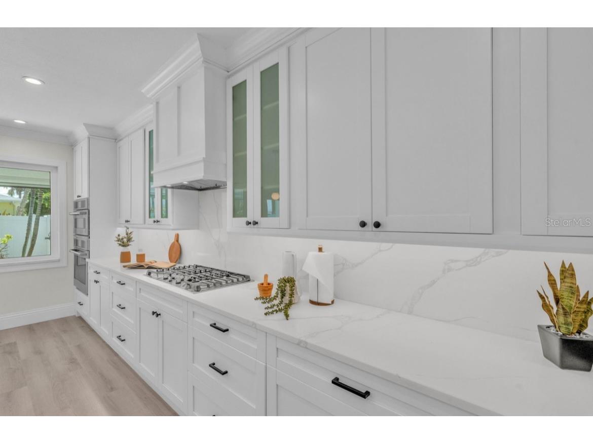 965 Bruce Avenue Clearwater Beach FL 33767 TB8408245 image6