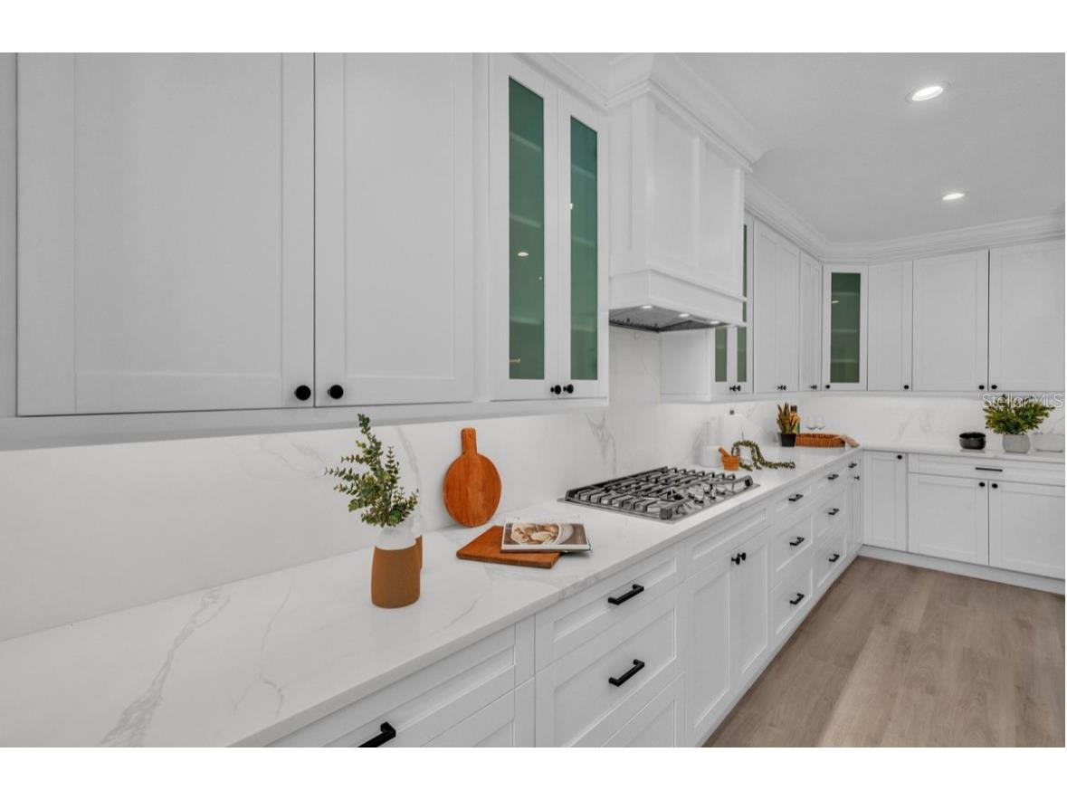 965 Bruce Avenue Clearwater Beach FL 33767 TB8408245 image7