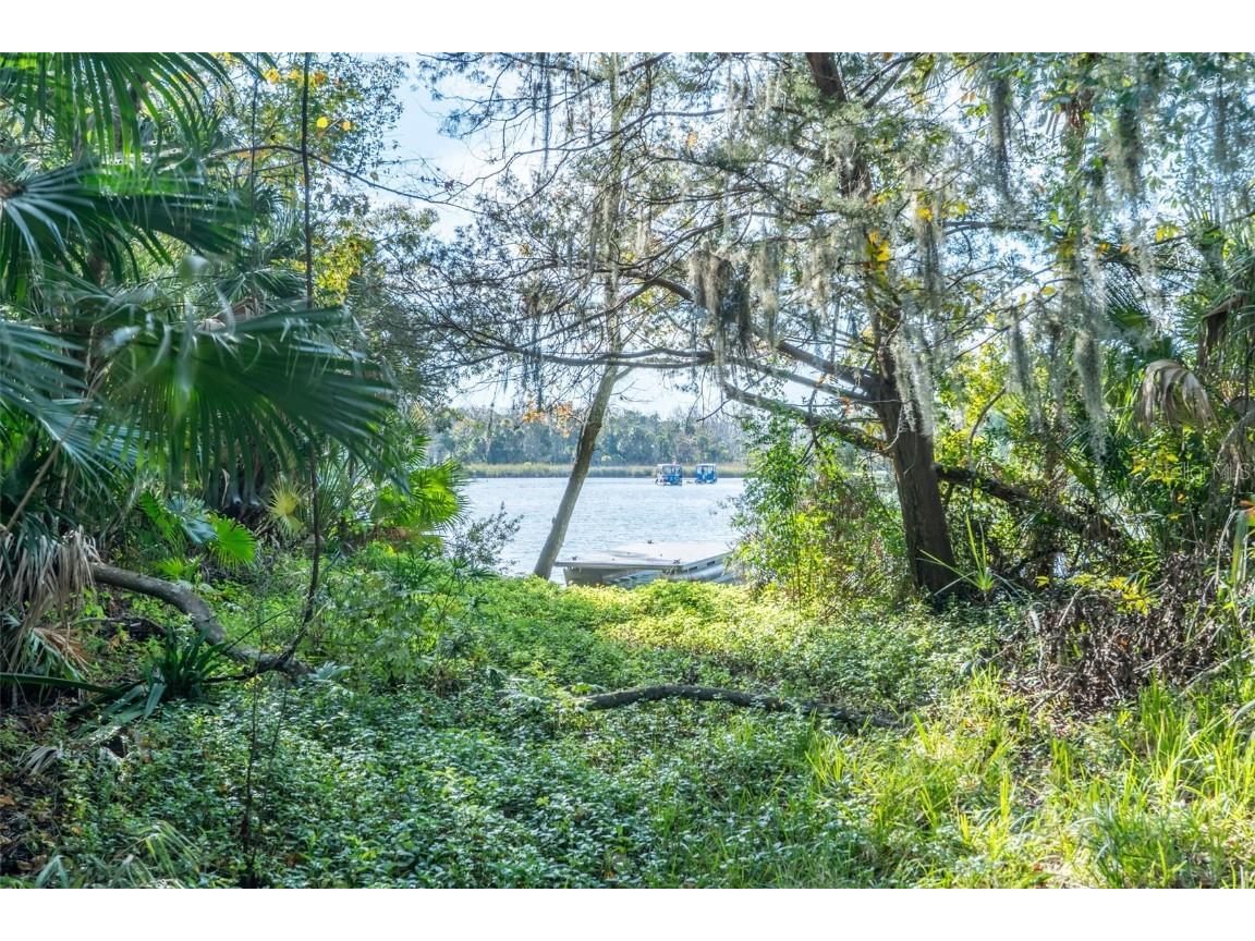 965 N Appalachian Terrace Crystal River FL 34429 OM713831 image64