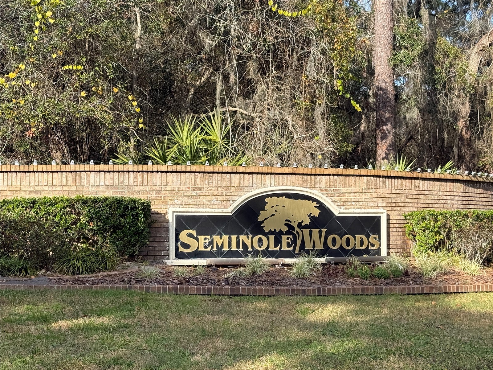 965 Pine Hill Boulevard Geneva FL 32732 - Buck Lake S5142827 image3