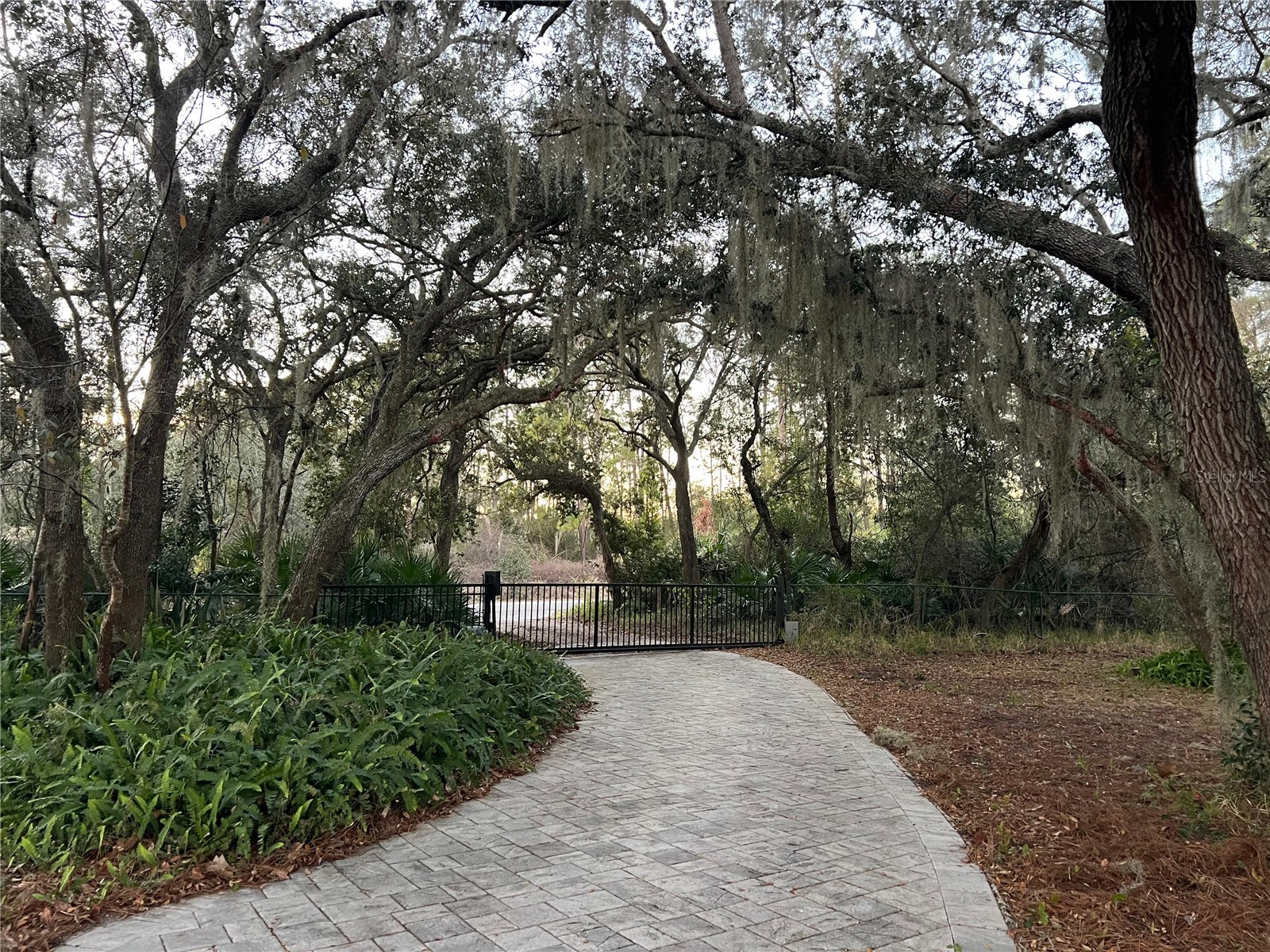 965 Pine Hill Boulevard Geneva FL 32732 - Buck Lake S5142827 image55