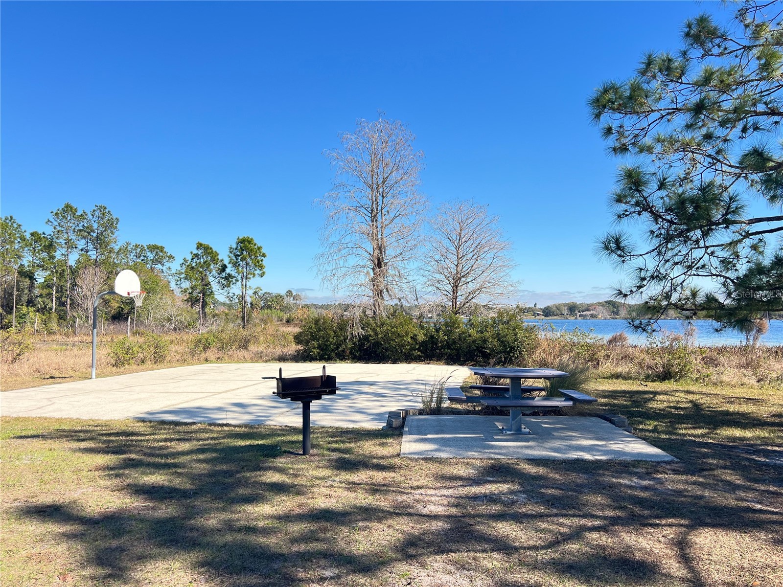 965 Pine Hill Boulevard Geneva FL 32732 - Buck Lake S5142827 image79