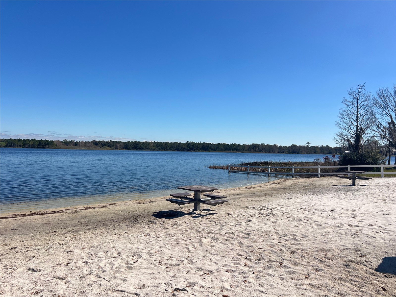 965 Pine Hill Boulevard Geneva FL 32732 - Buck Lake S5142827 image83