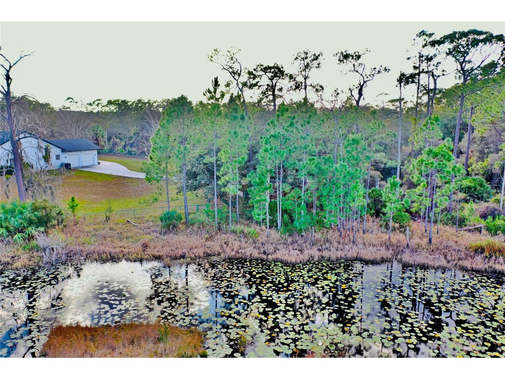 965 Pine Hill Boulevard Geneva FL 32732 - Buck Lake S5142827 image93