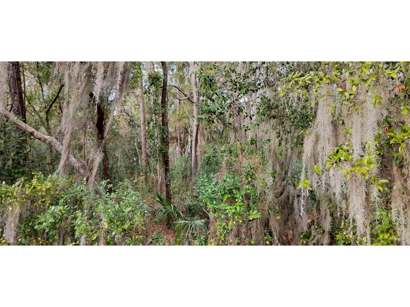 965 S Sally Terrace Inverness FL 34452 TB8330450 image10