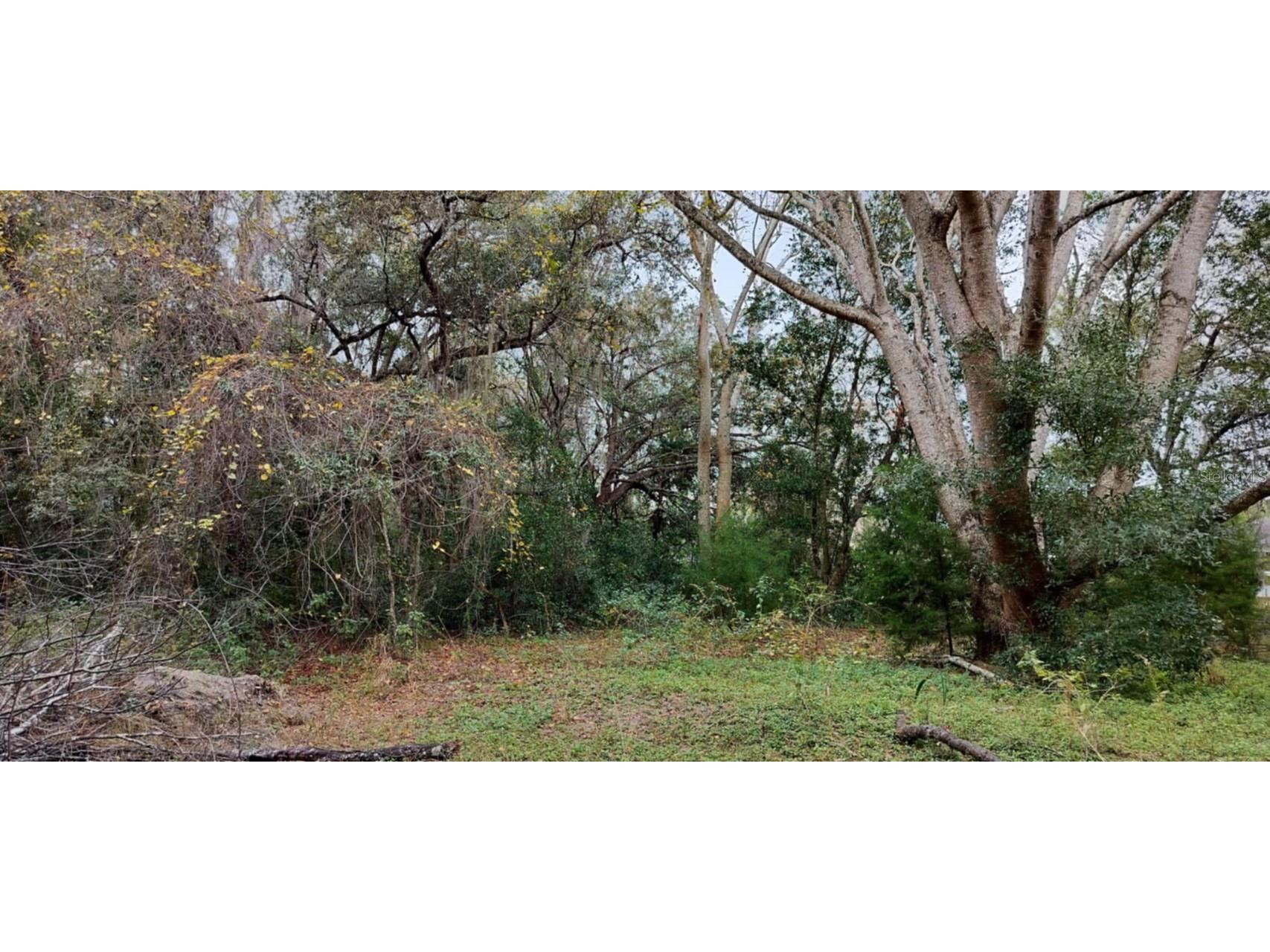 965 S Sally Terrace Inverness FL 34452 TB8330450 image11