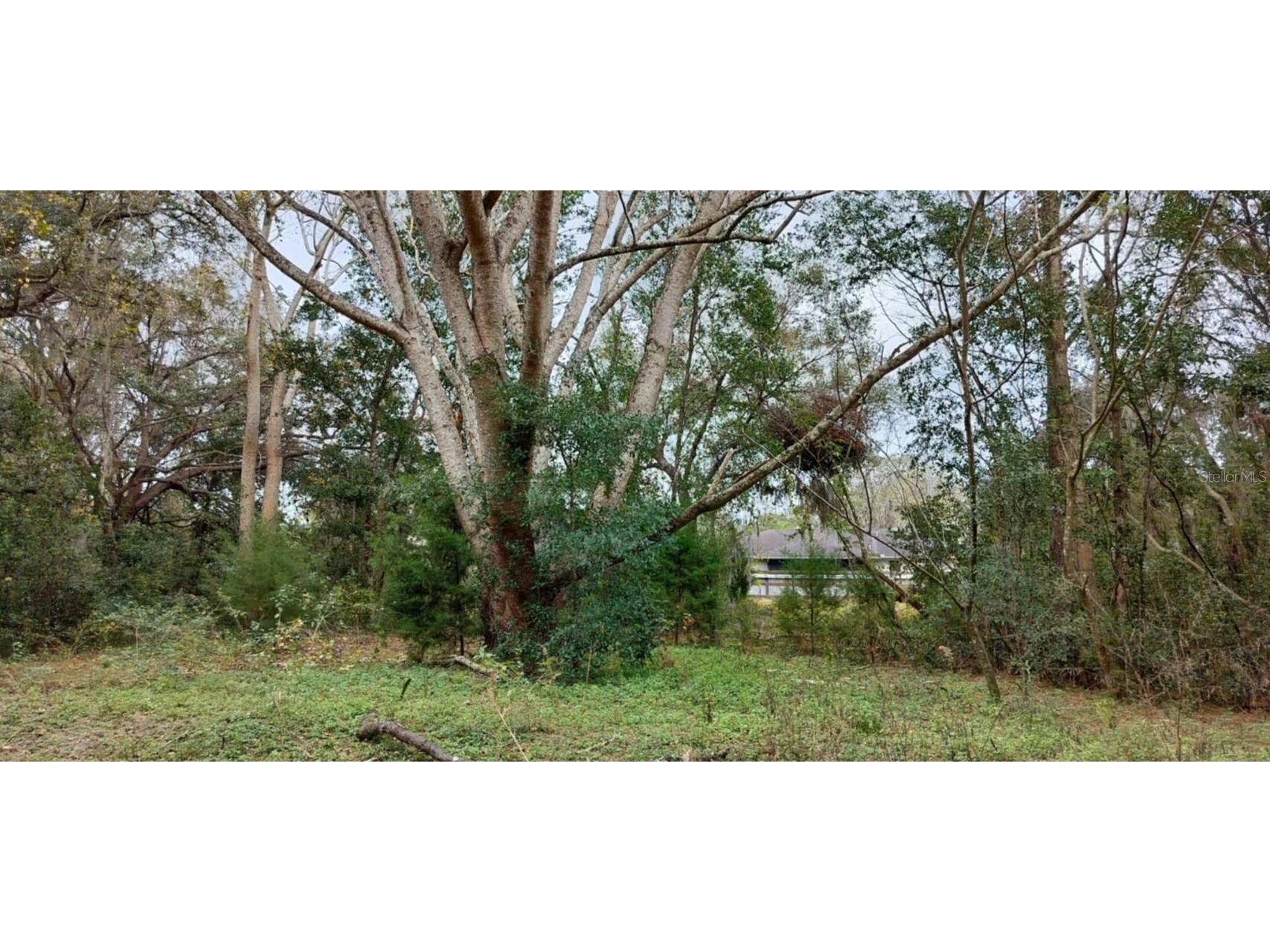 965 S Sally Terrace Inverness FL 34452 TB8330450 image12