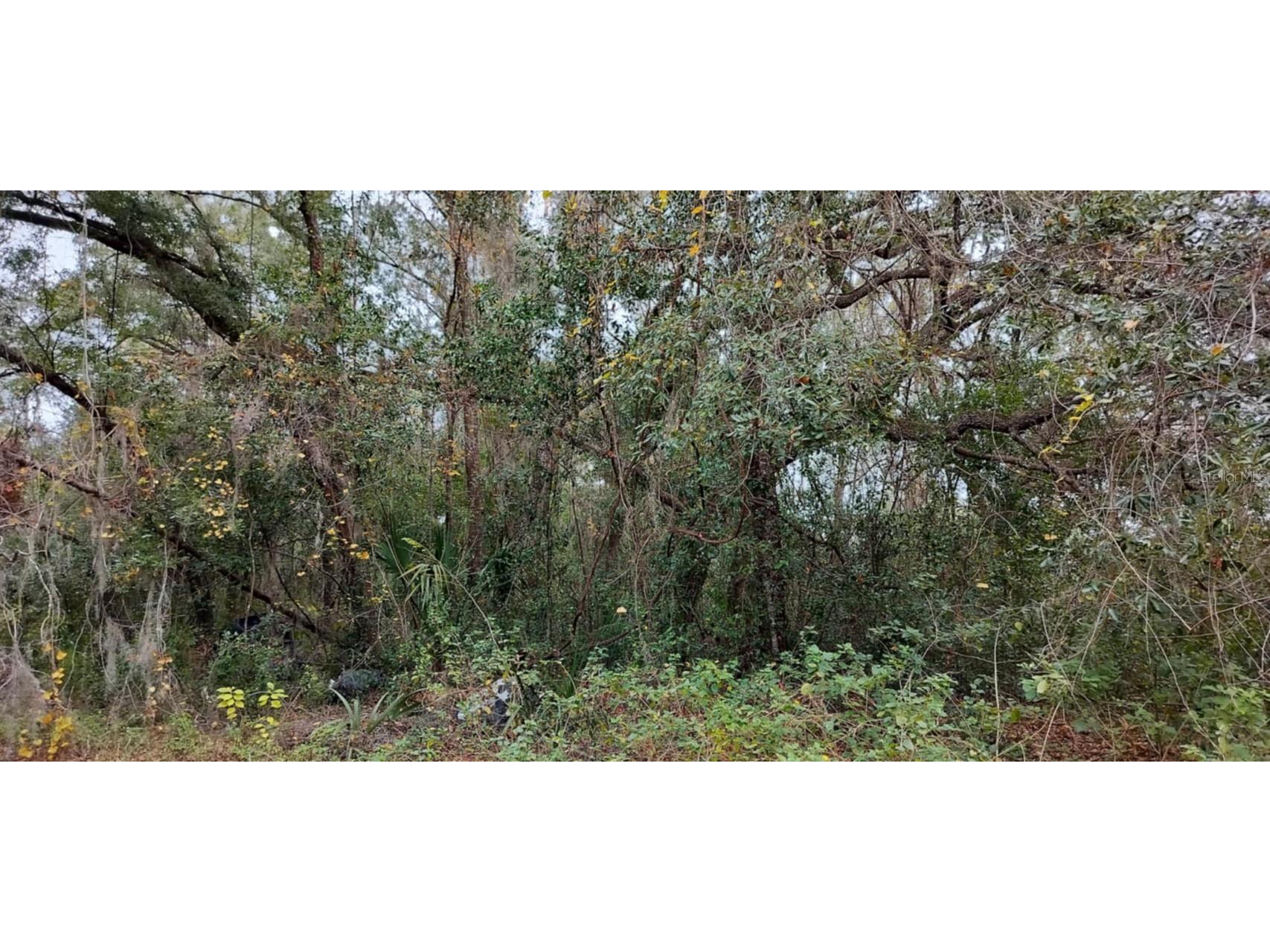 965 S Sally Terrace Inverness FL 34452 TB8330450 image13