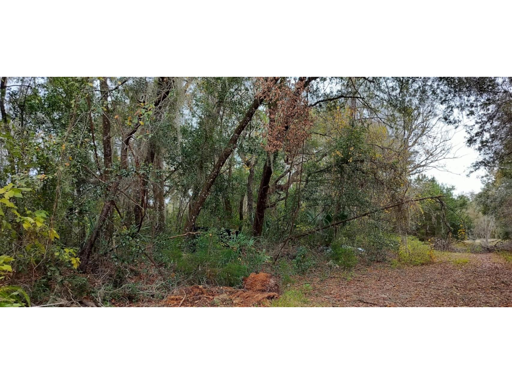 965 S Sally Terrace Inverness FL 34452 TB8330450 image14