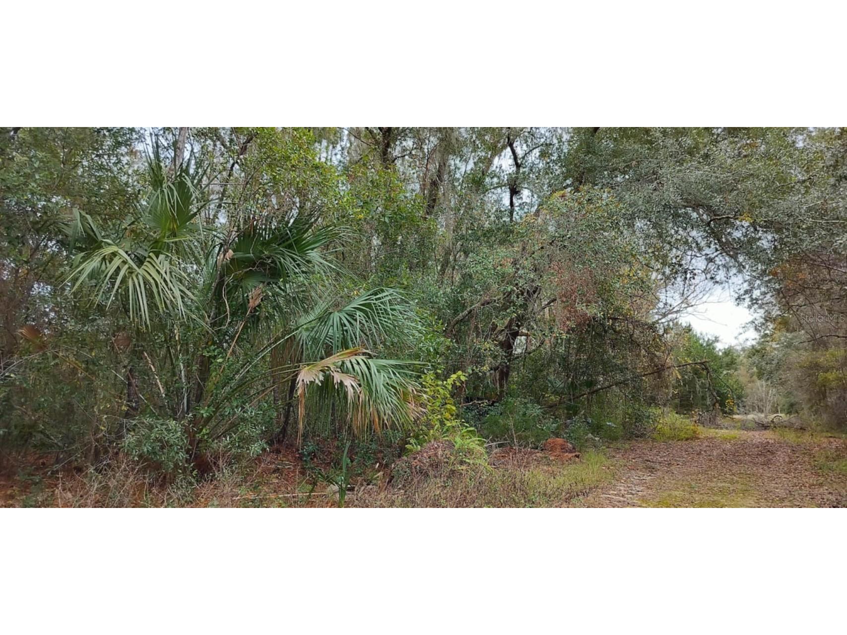 965 S Sally Terrace Inverness FL 34452 TB8330450 image2