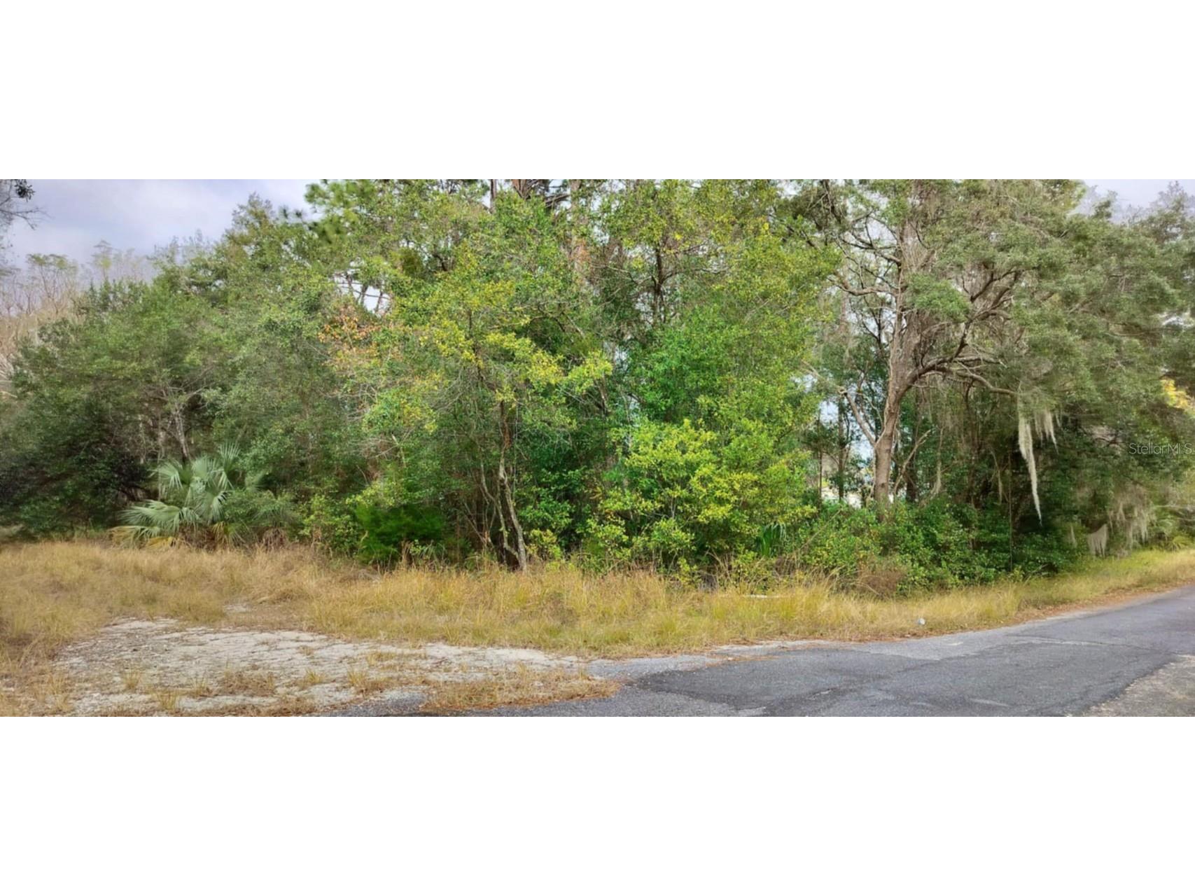 965 S Sally Terrace Inverness FL 34452 TB8330450 image3