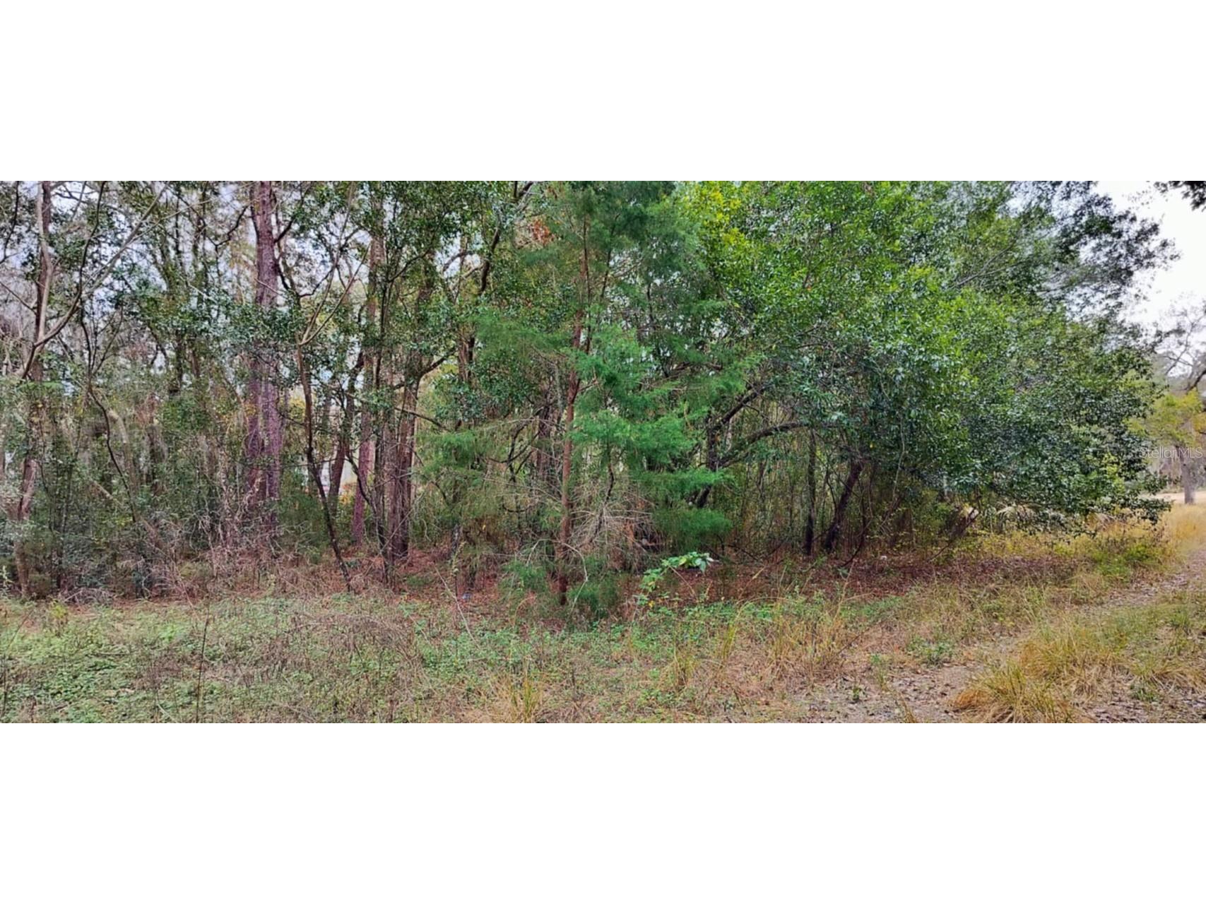 965 S Sally Terrace Inverness FL 34452 TB8330450 image4