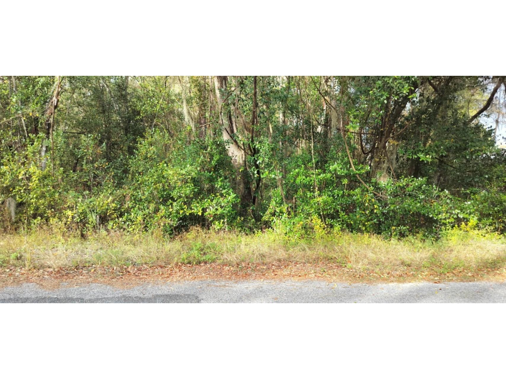 965 S Sally Terrace Inverness FL 34452 TB8330450 image5