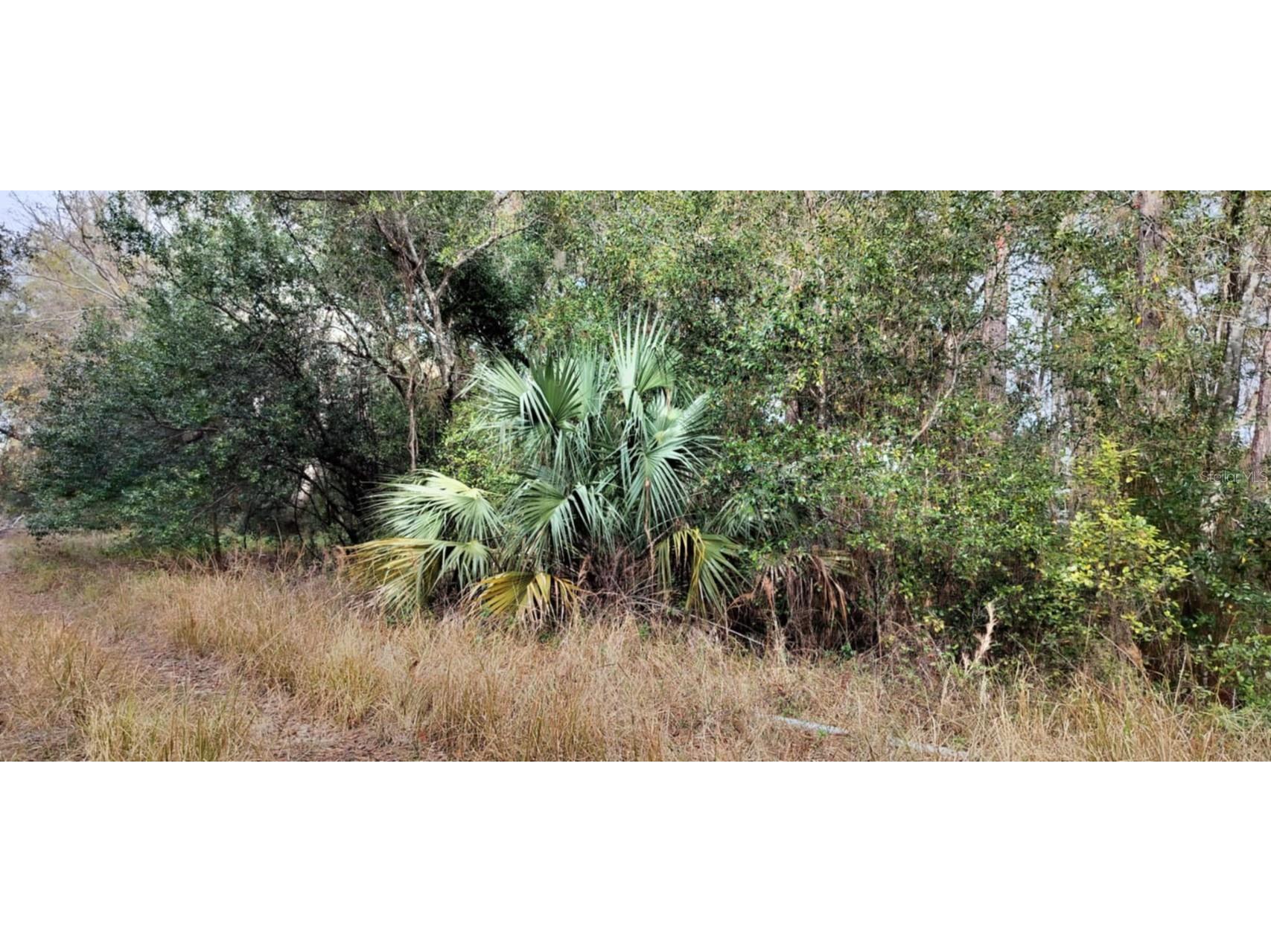 965 S Sally Terrace Inverness FL 34452 TB8330450 image7