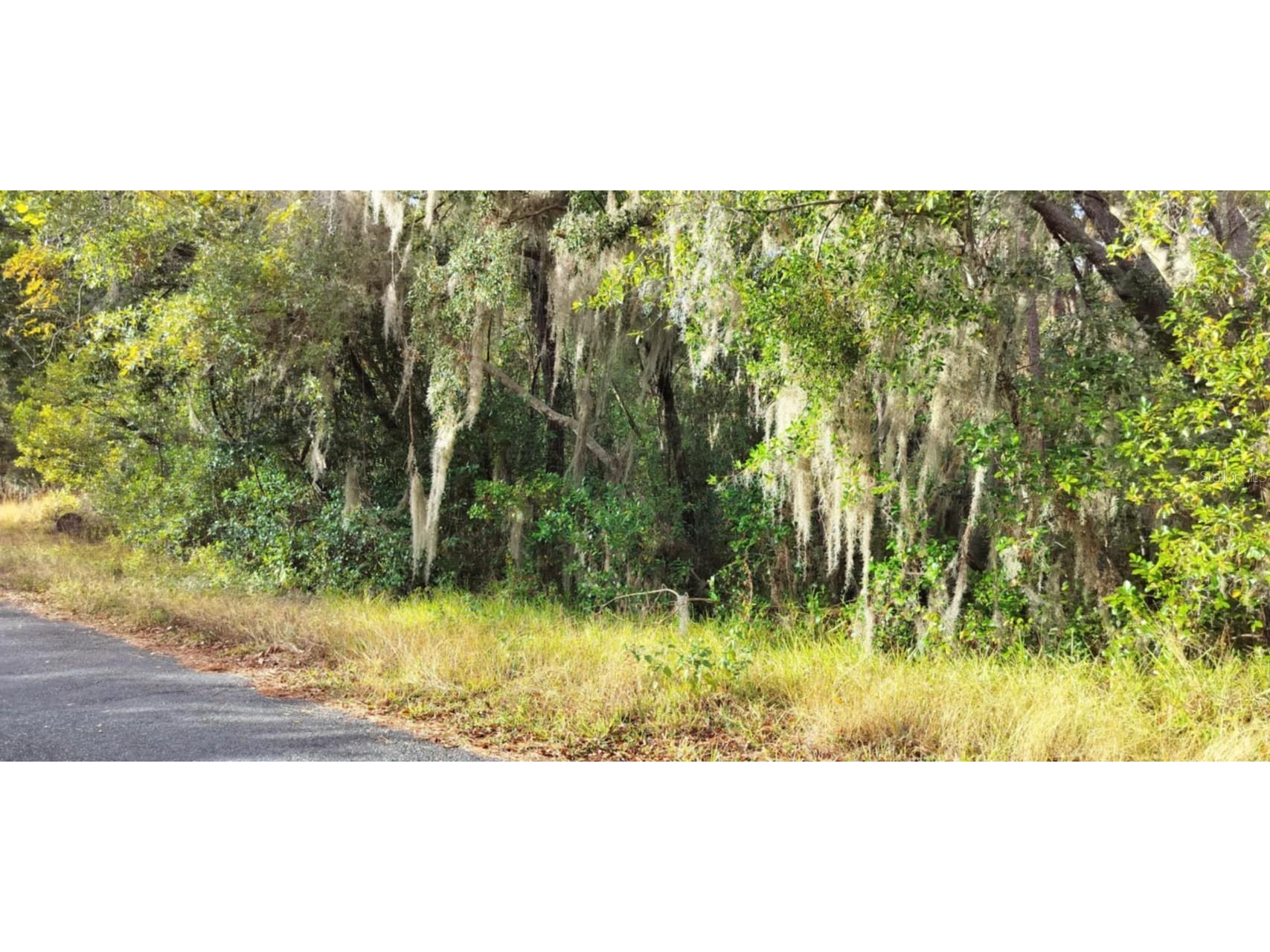 965 S Sally Terrace Inverness FL 34452 TB8330450 image8