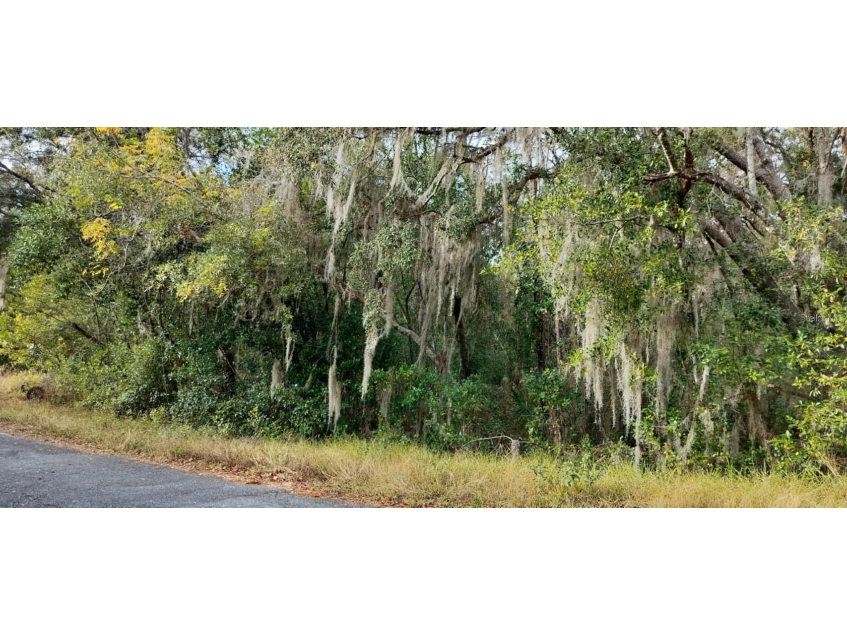 965 S Sally Terrace Inverness FL 34452 TB8330450 image9