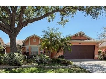 965 Westwinds Boulevard Tarpon Springs FL 34689 TB8373716 image1