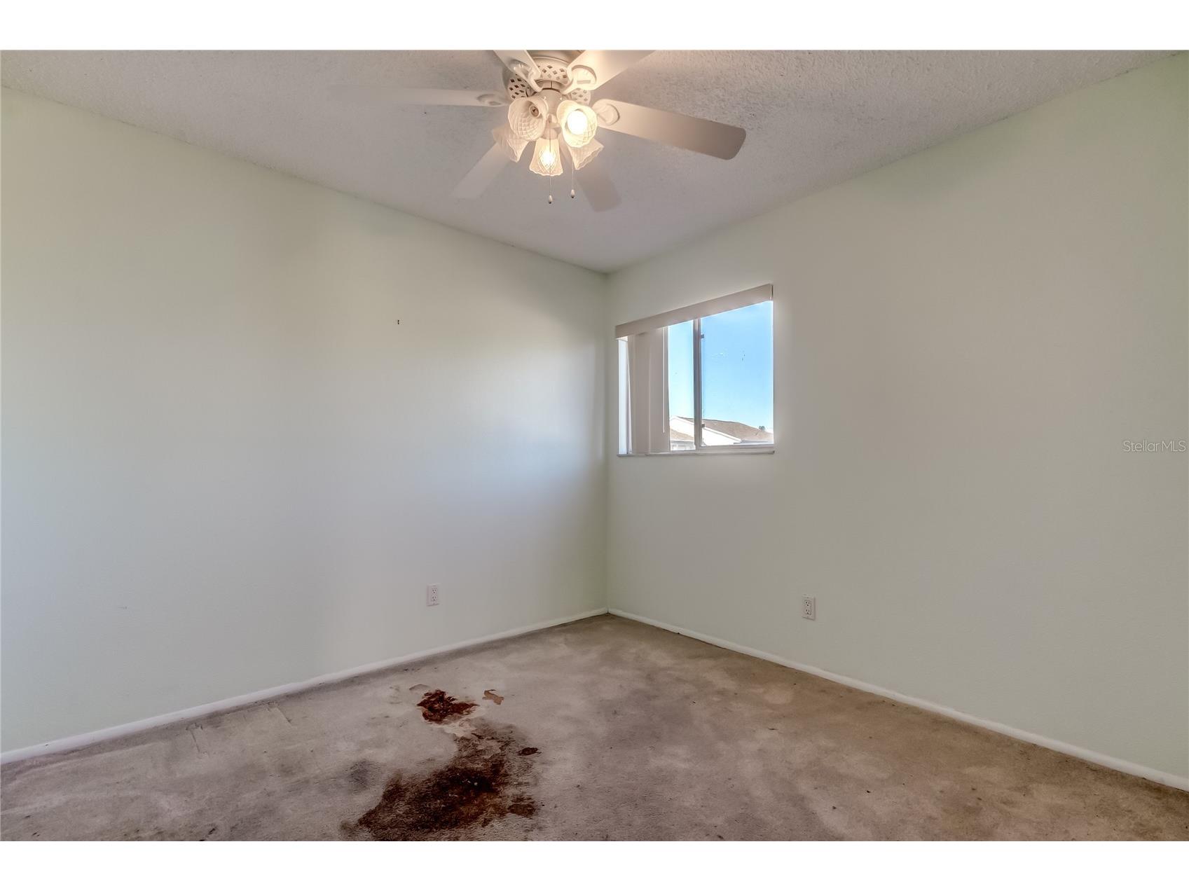 965 Whitman Drive Sarasota FL 34243 TB8467361 image22