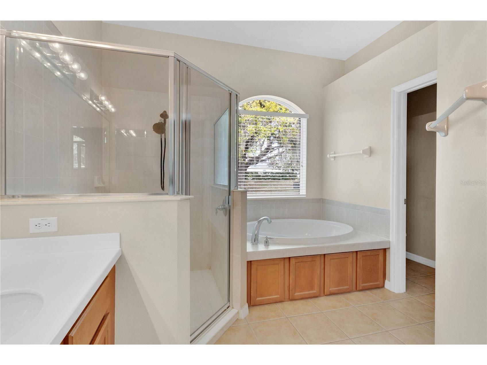 9650 Bay Pine Lane Orlando FL 32832 O6391982 image17