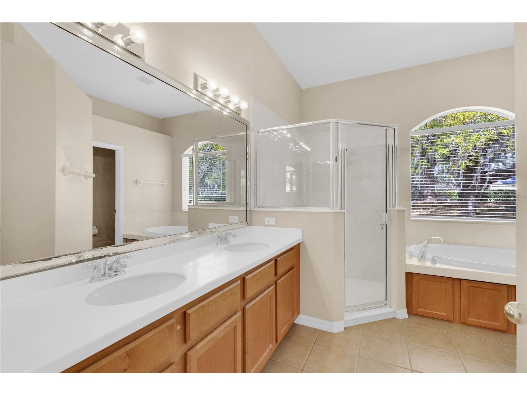 9650 Bay Pine Lane Orlando FL 32832 O6391982 image18
