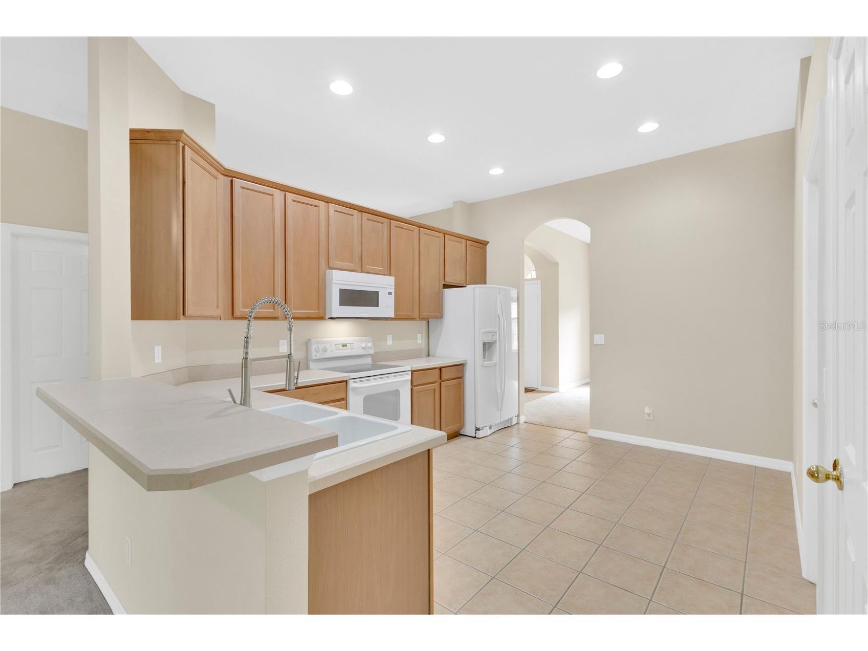 9650 Bay Pine Lane Orlando FL 32832 O6391982 image7